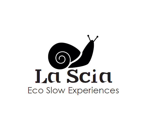 Realizzazione della logo professionale per La Scia